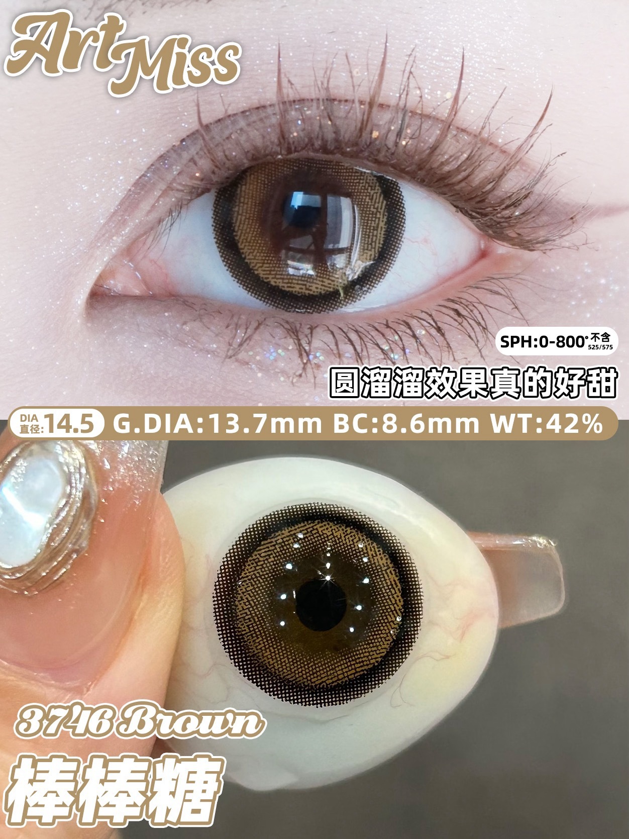 IMG_0366-1732087496972