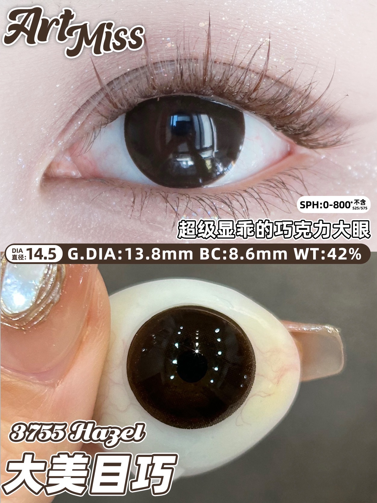 IMG_0364-1732087496987