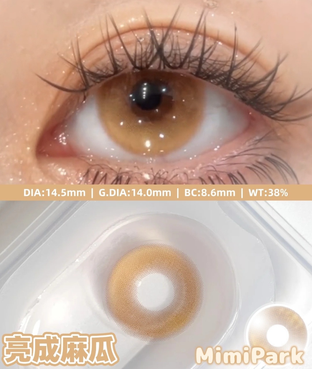 IMG_0600-1732267534769