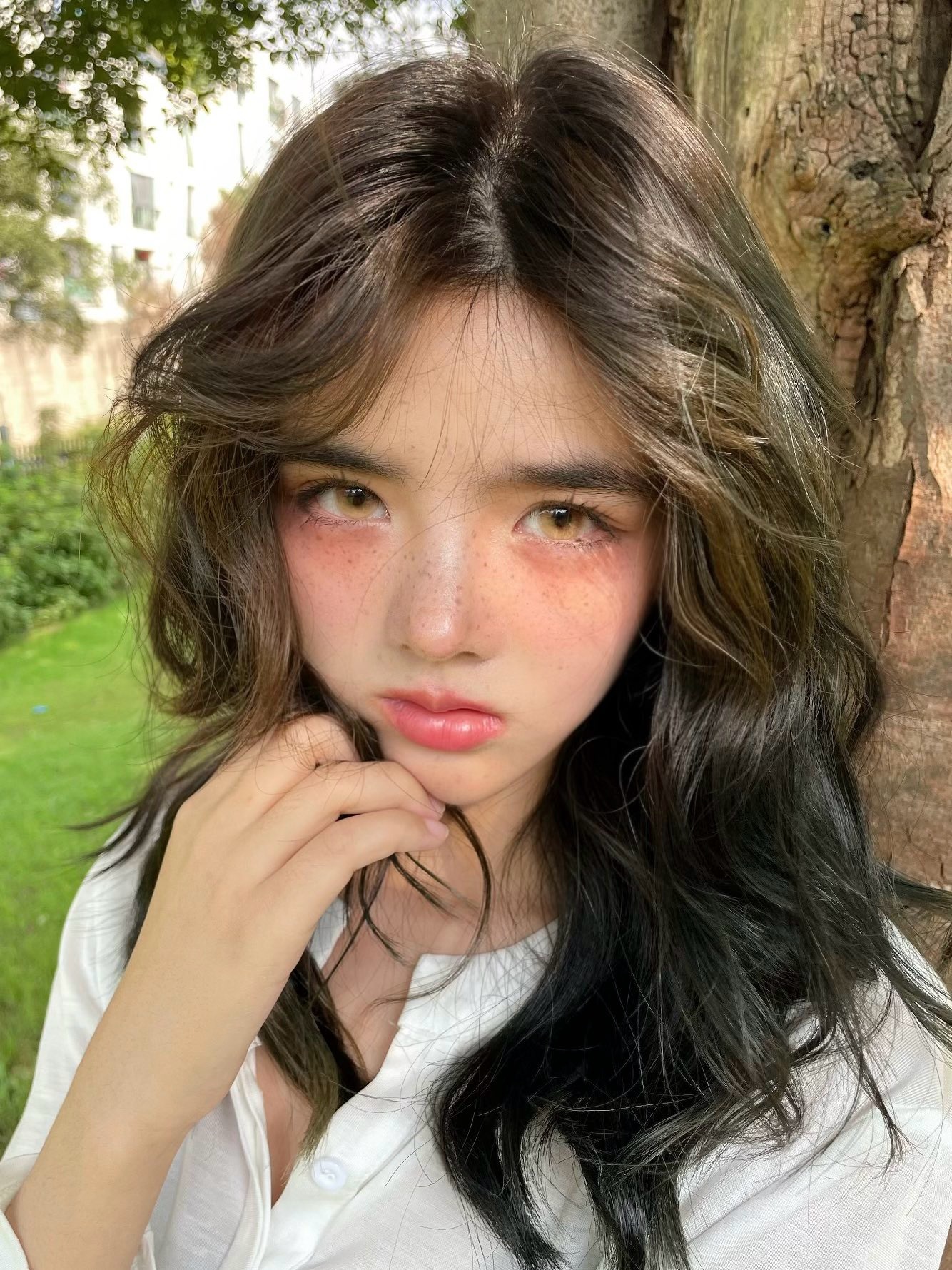 IMG_0619-1732267534775