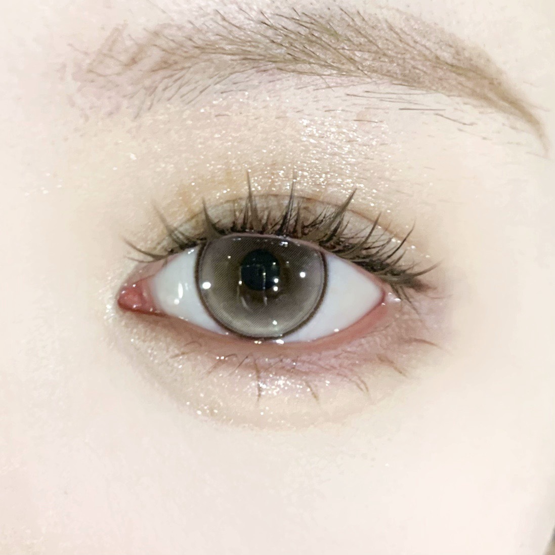 IMG_0641-1732267841187