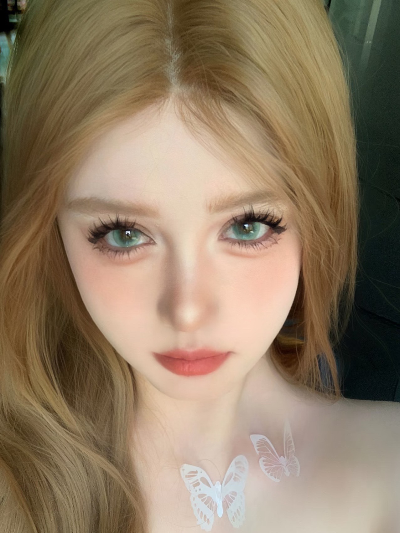 IMG_0809-1732276648499