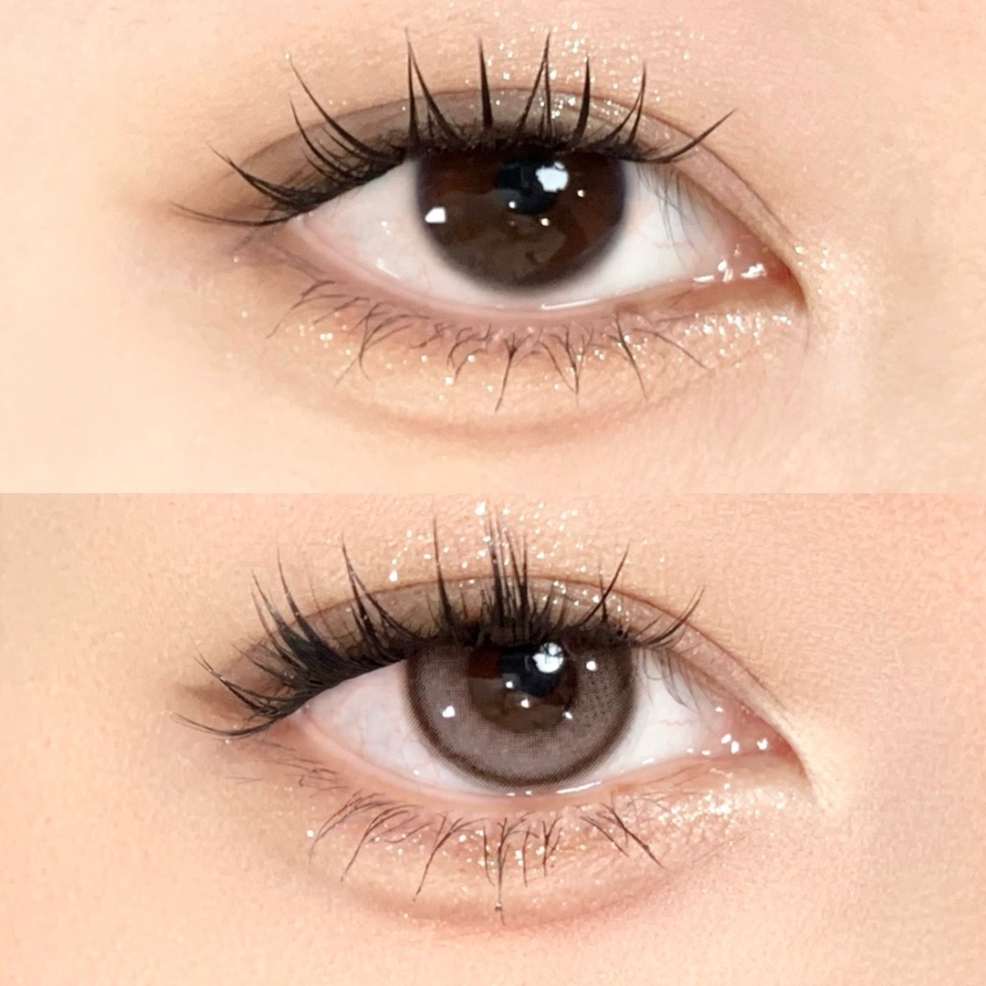 IMG_0919-1732307153488