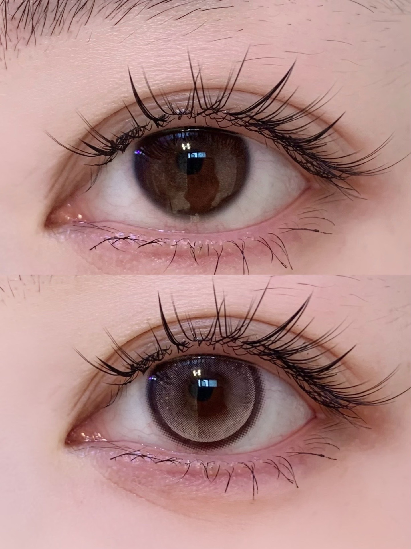 IMG_0935-1732307598289