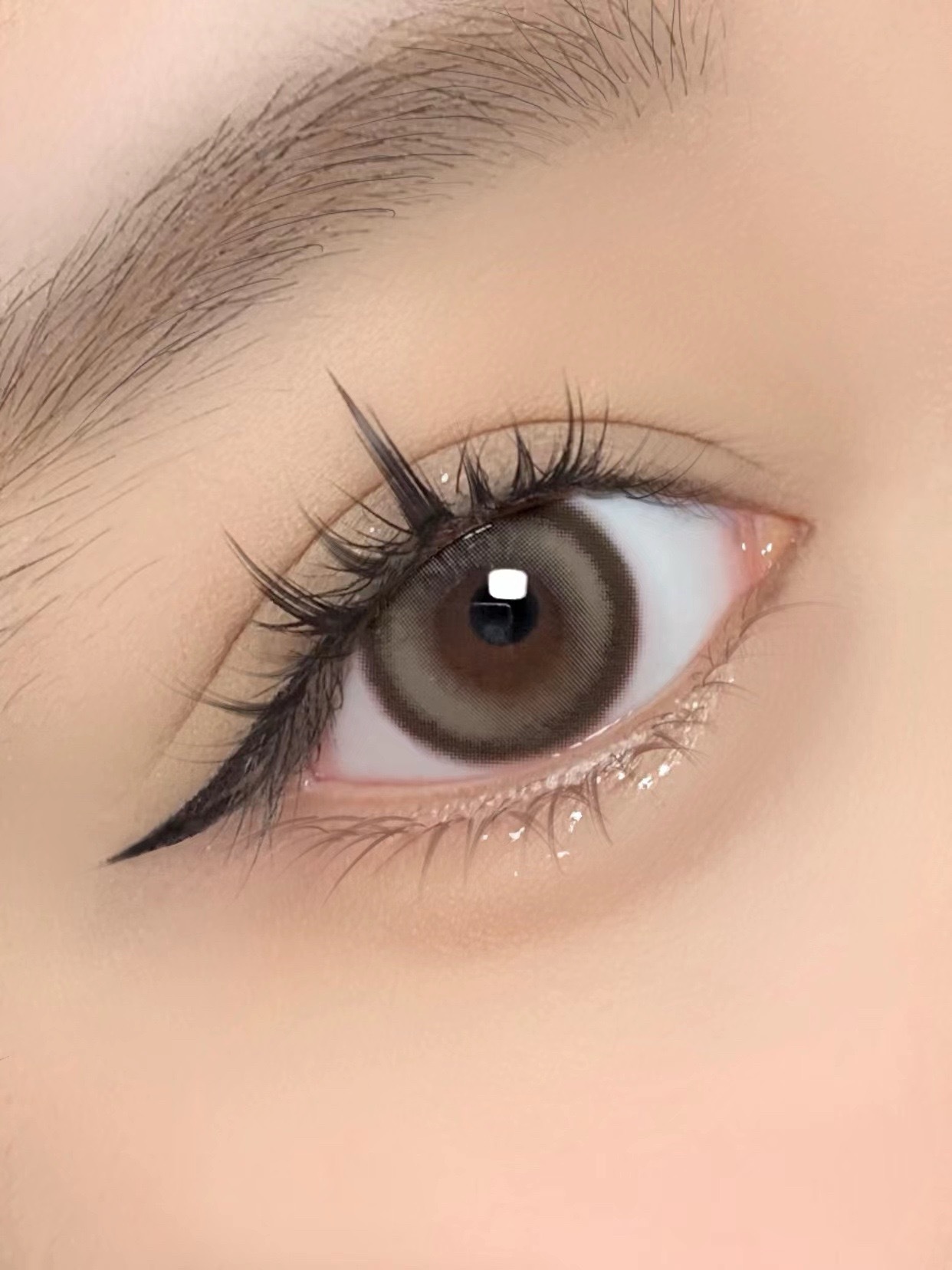 IMG_0964-1732308162449