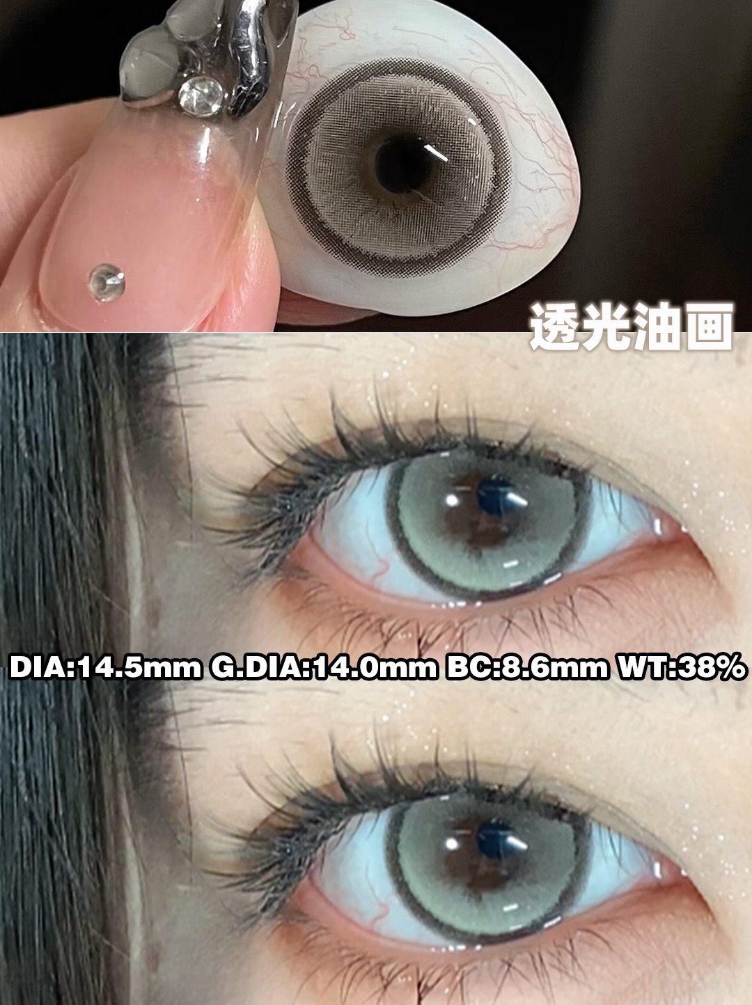 IMG_0988-1732308572304