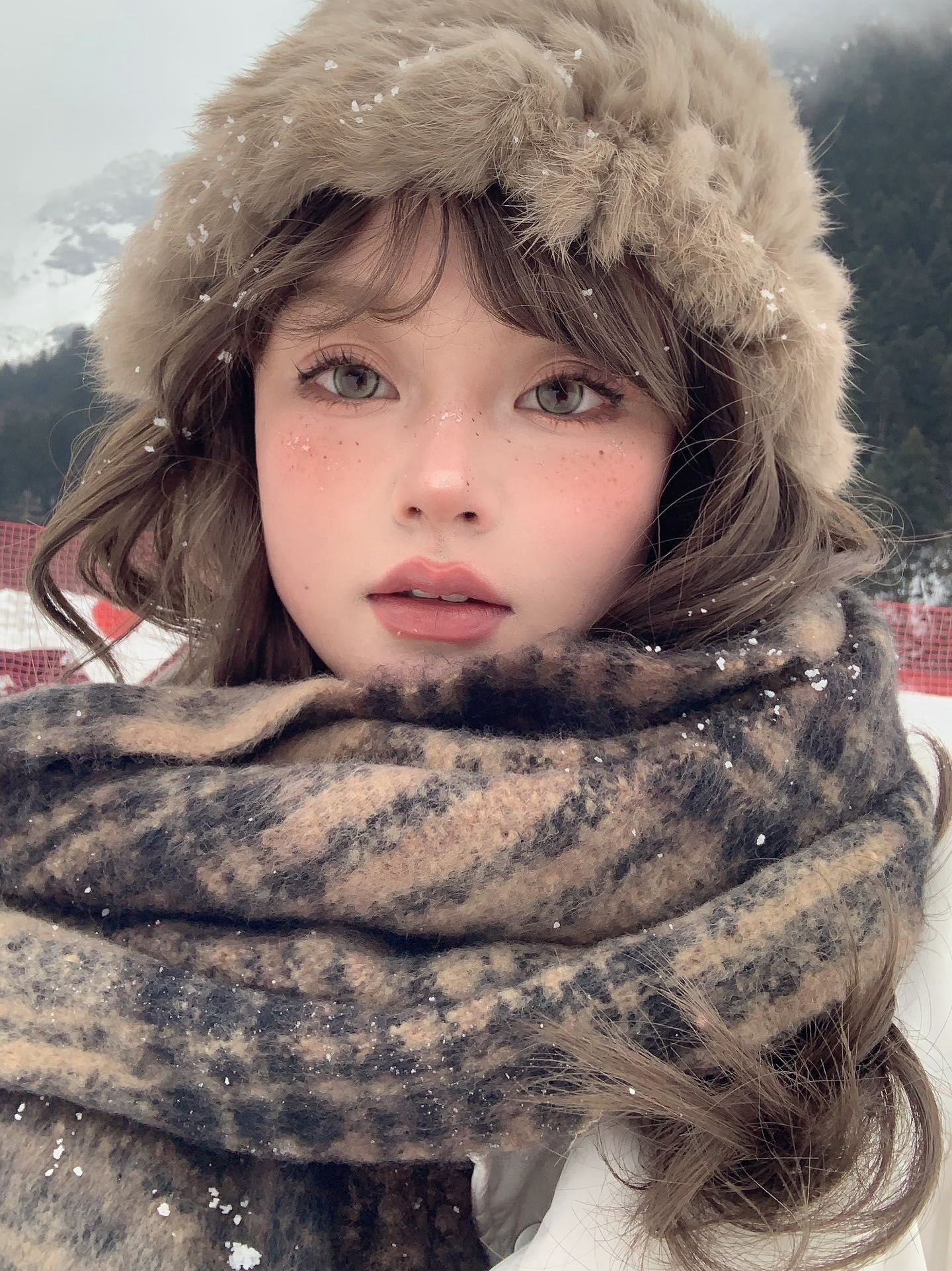 IMG_0990-1732308572338