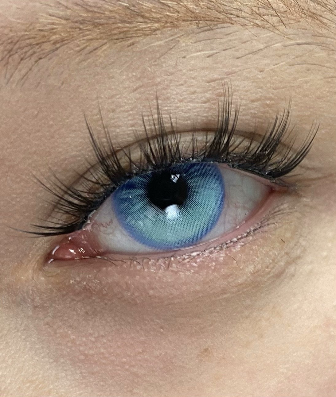 IMG_1208-1732366464303