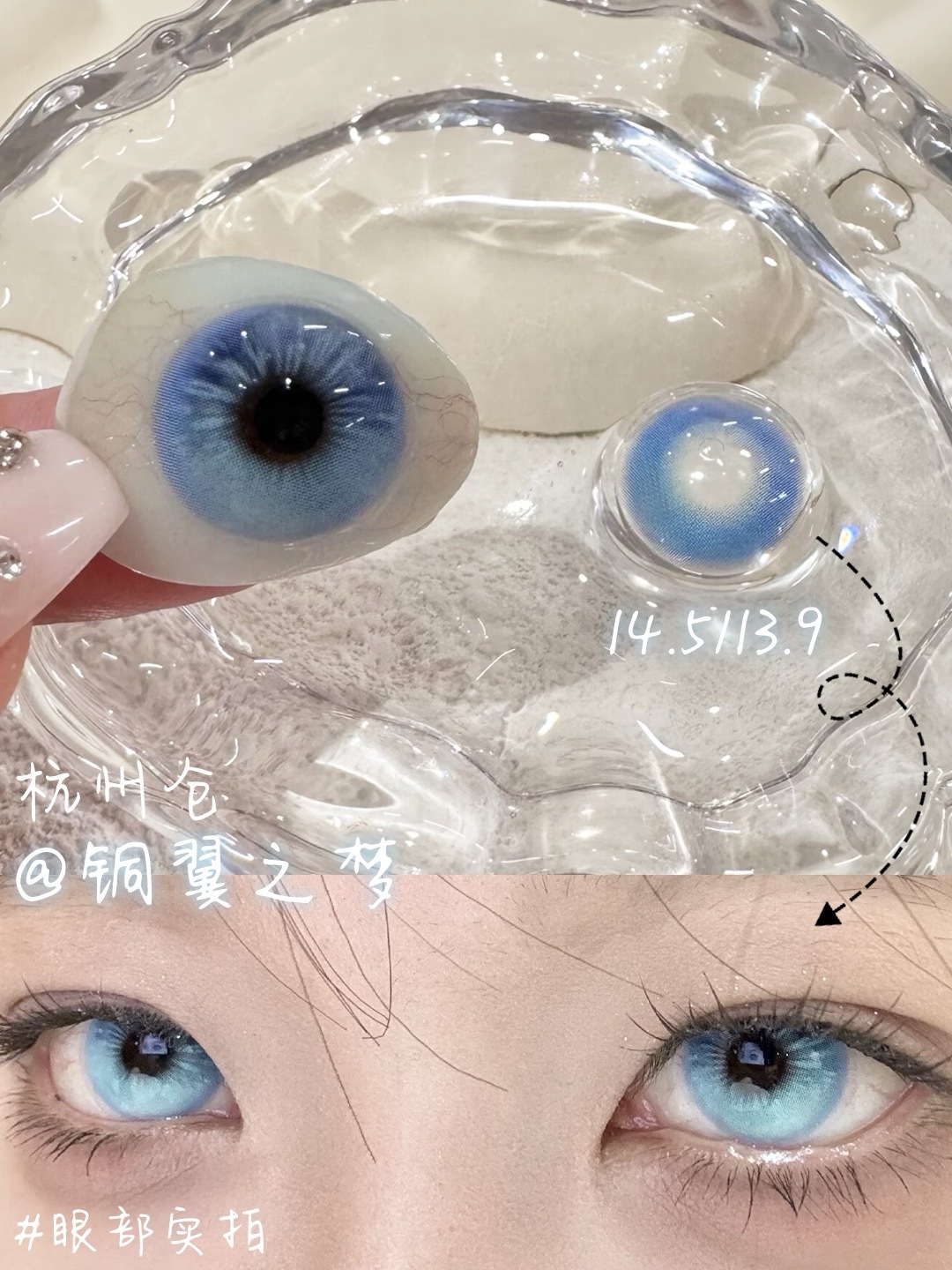 IMG_1207-1732366464288