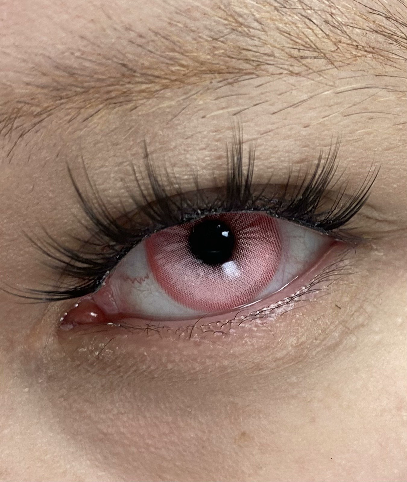 IMG_1210-1732366589656