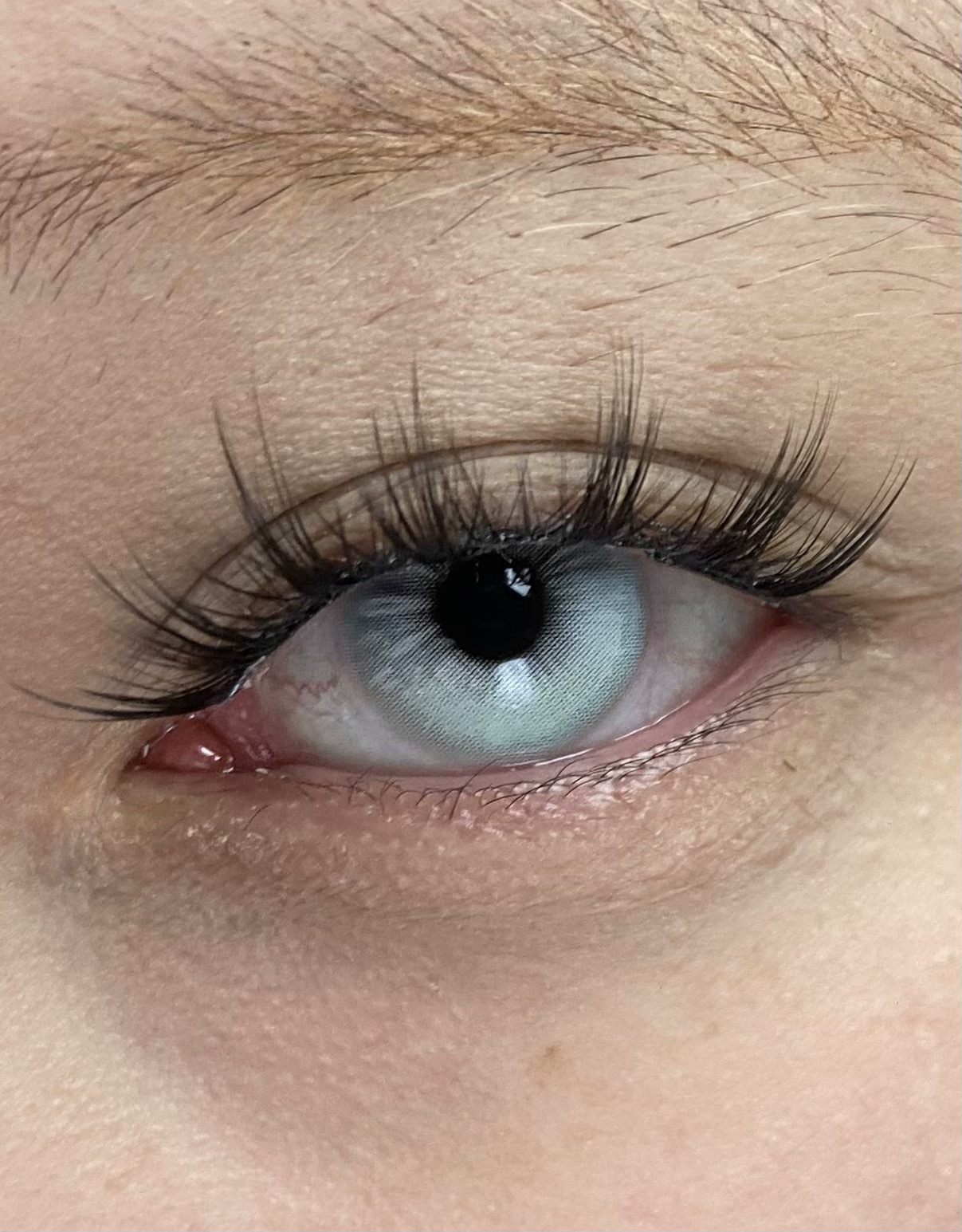 IMG_1501-1732791681061