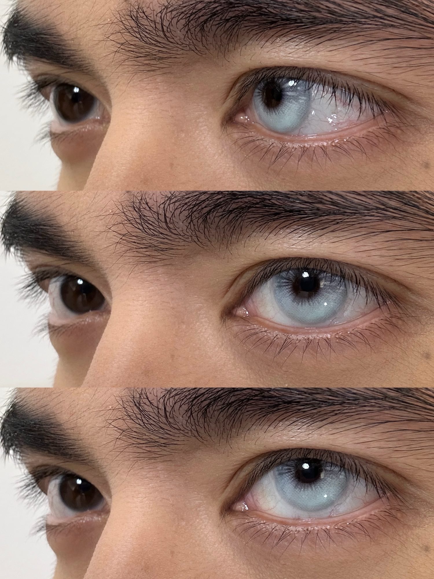 IMG_1497-1732791681069