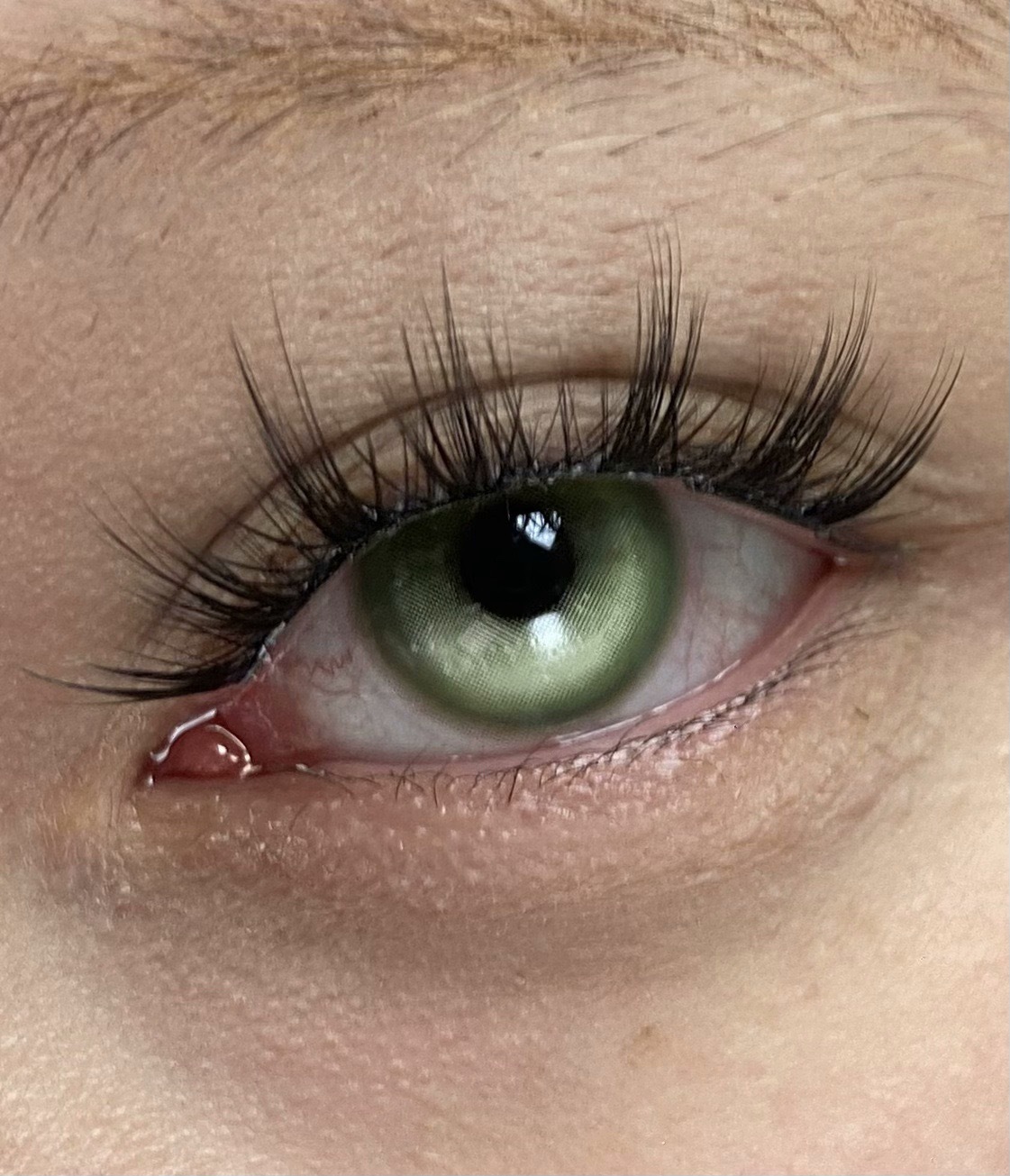 IMG_1520-1732792187669