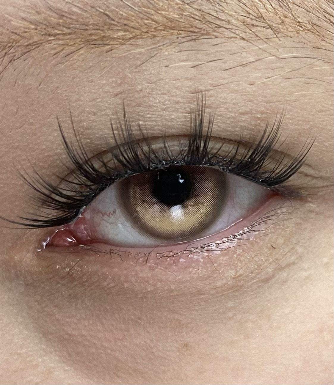 IMG_1524-1732792297171