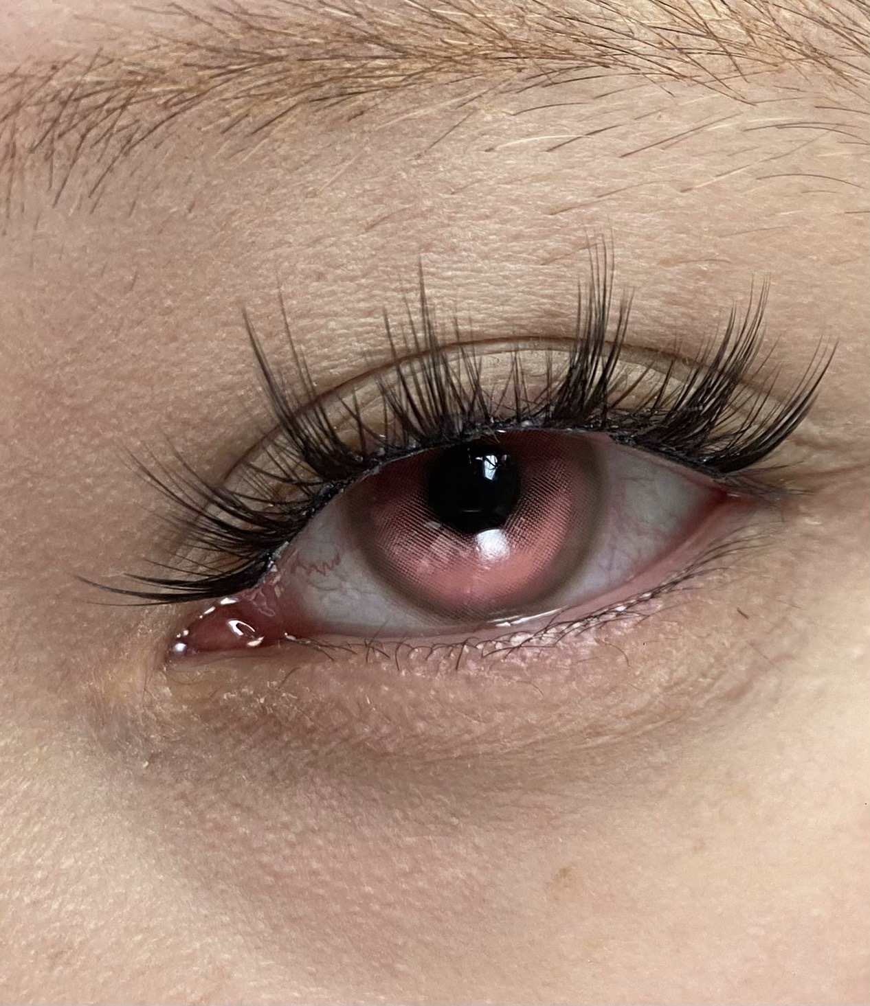 IMG_1528-1732793054215