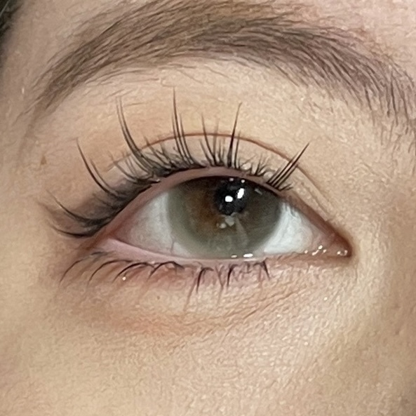 IMG_1645-1732863533245