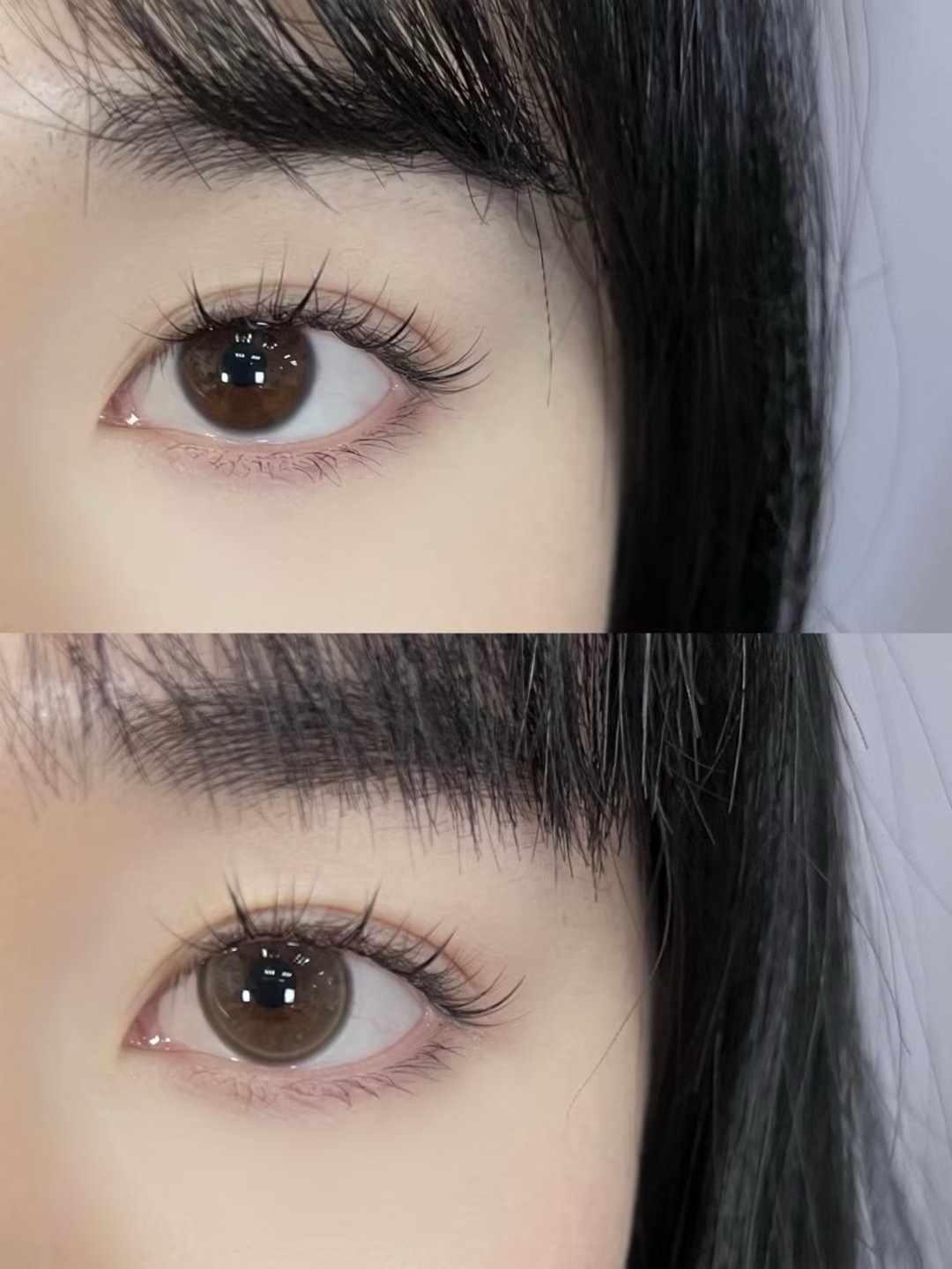 IMG_1649-1732863641861