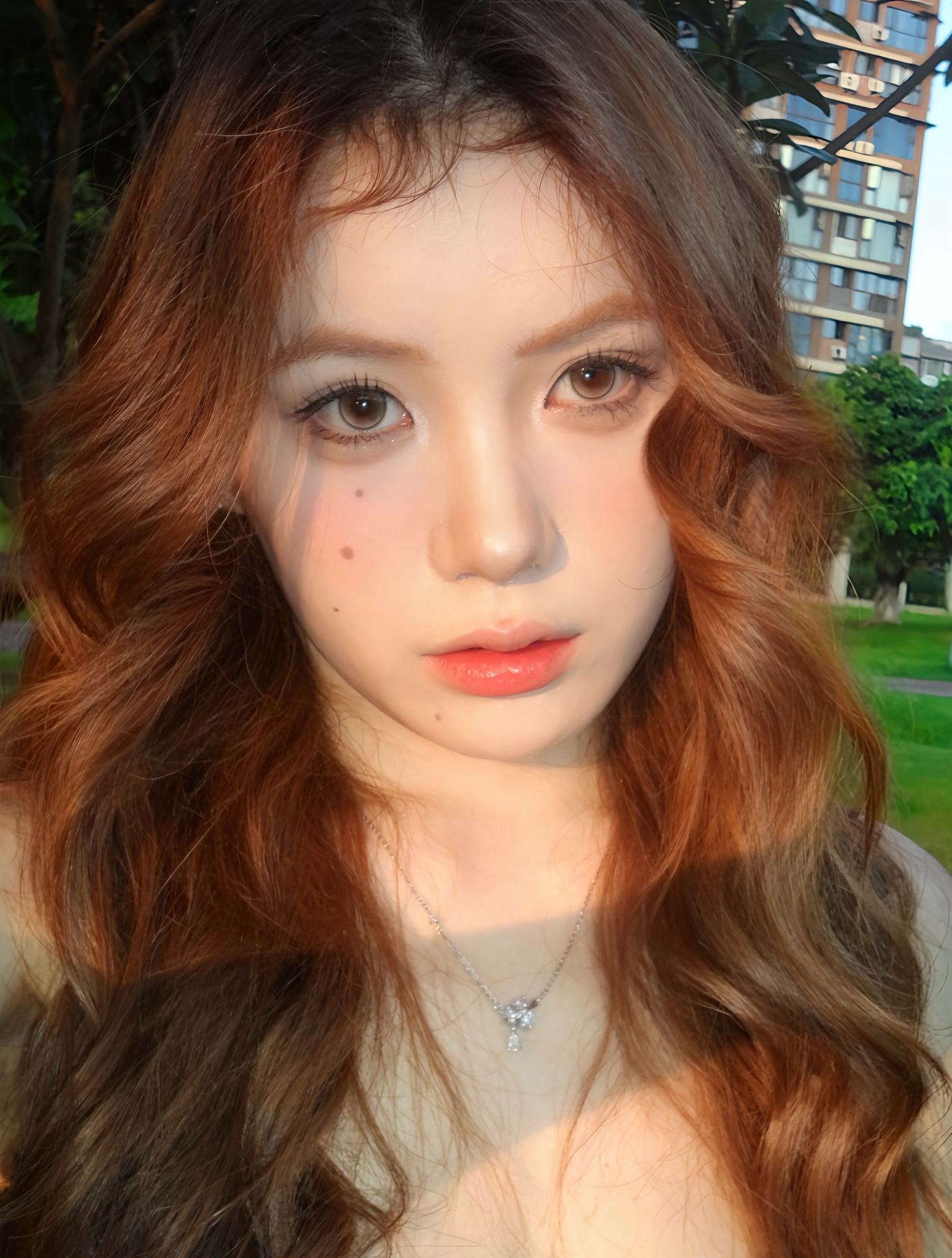 IMG_1677-1732864284015