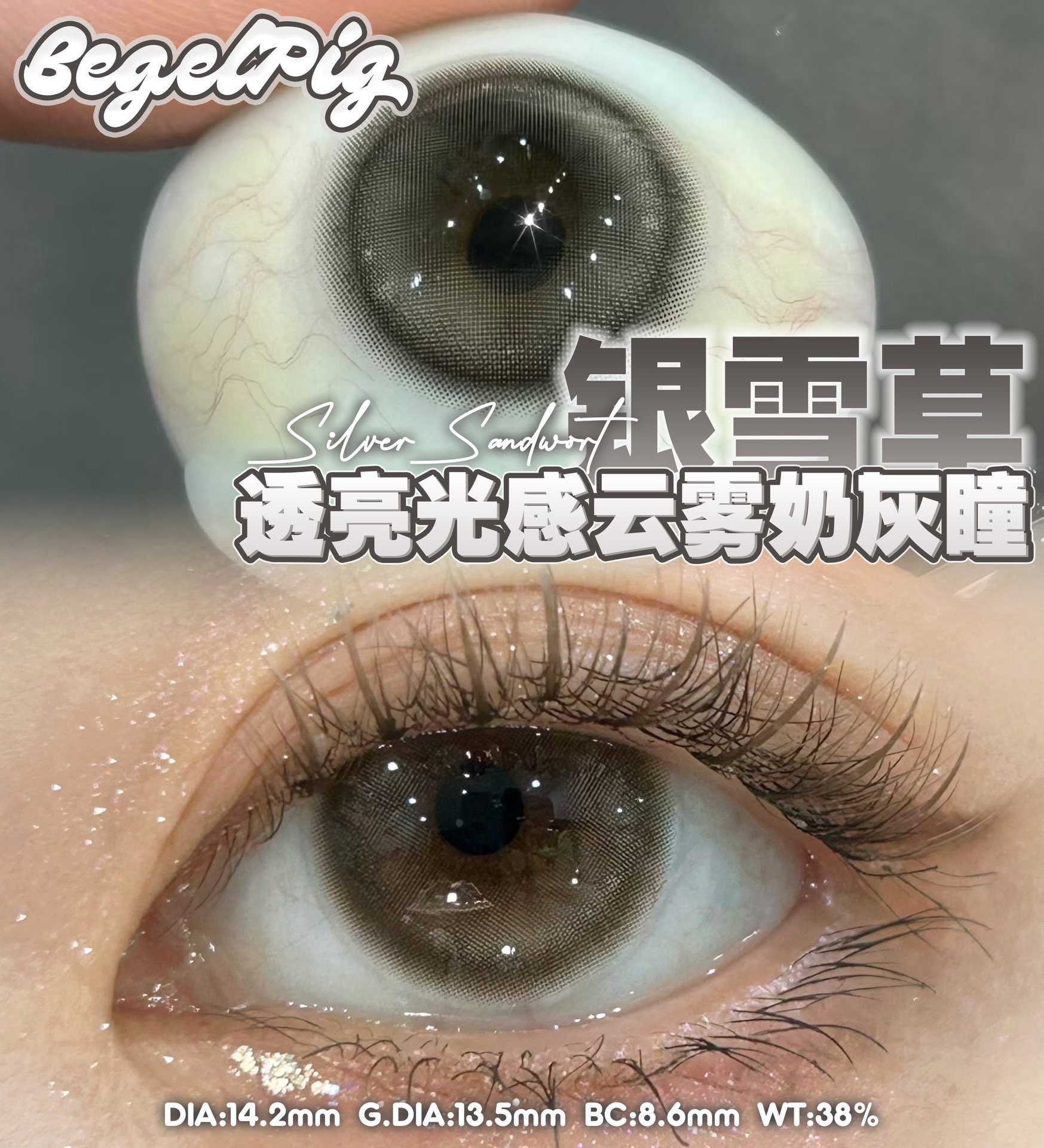 IMG_2822-1733768521183