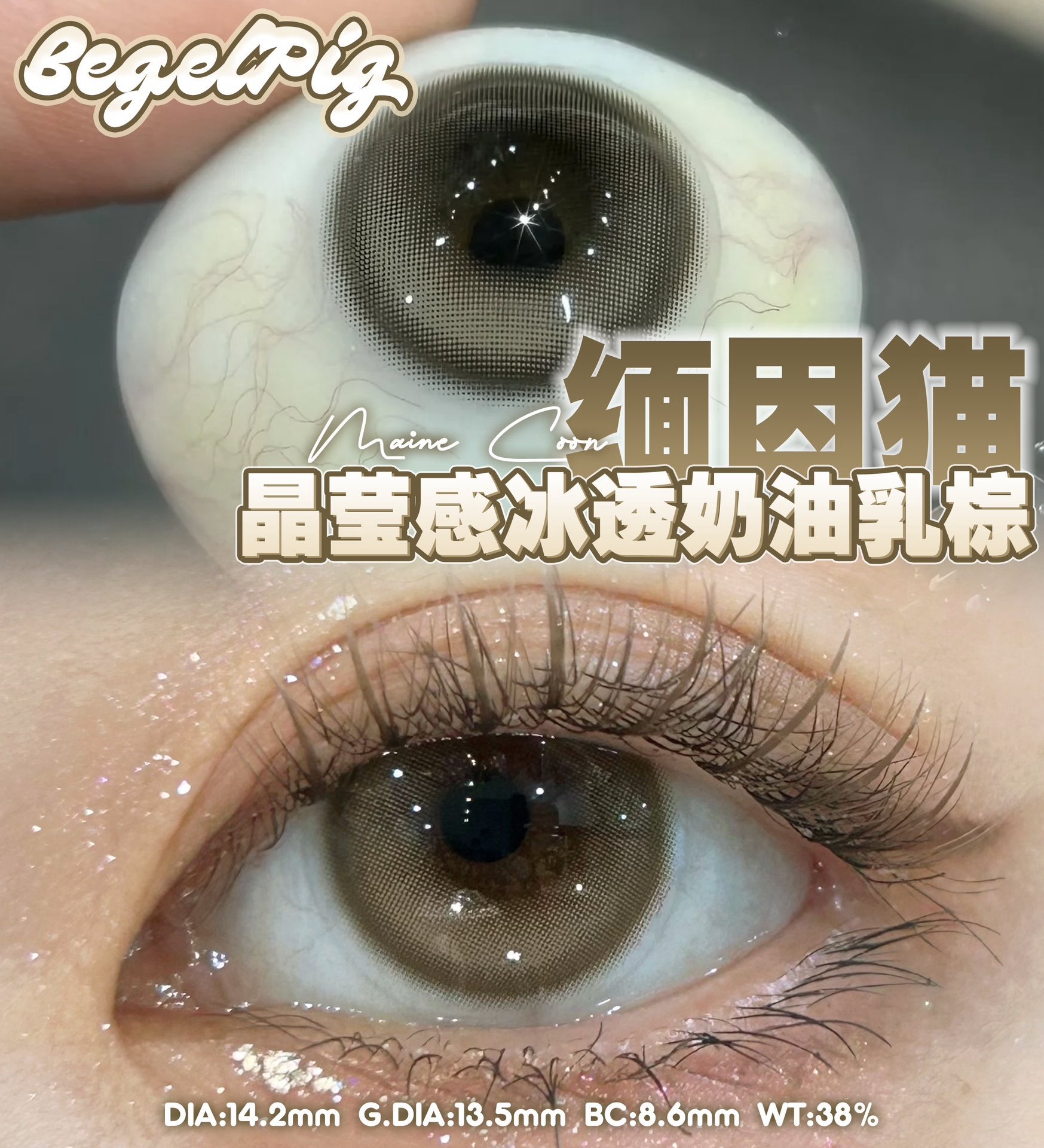 IMG_2825-1733768556946