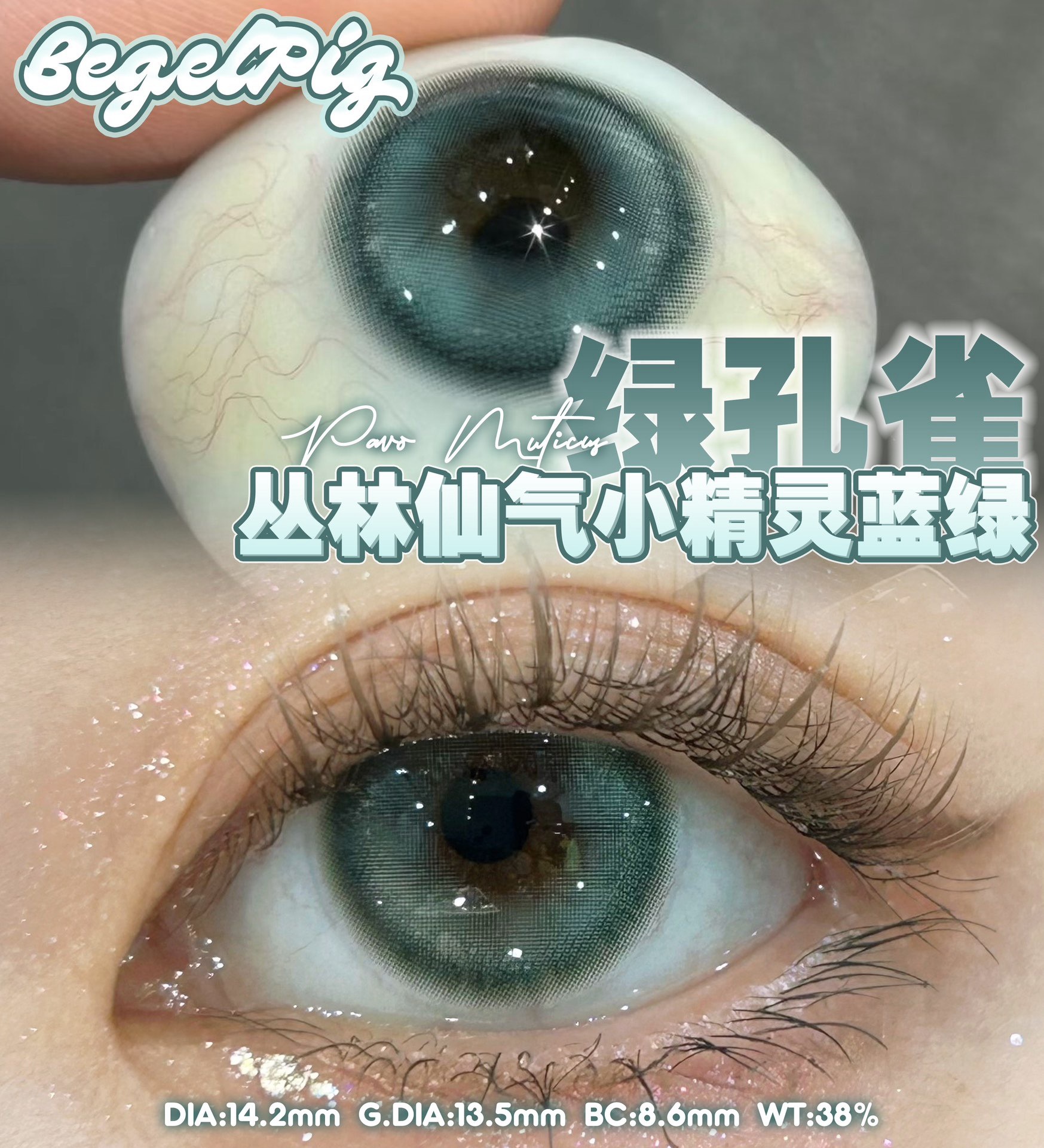 IMG_2831-1733768645890