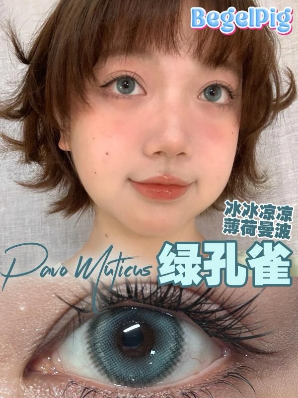 IMG_2832-1733768645897