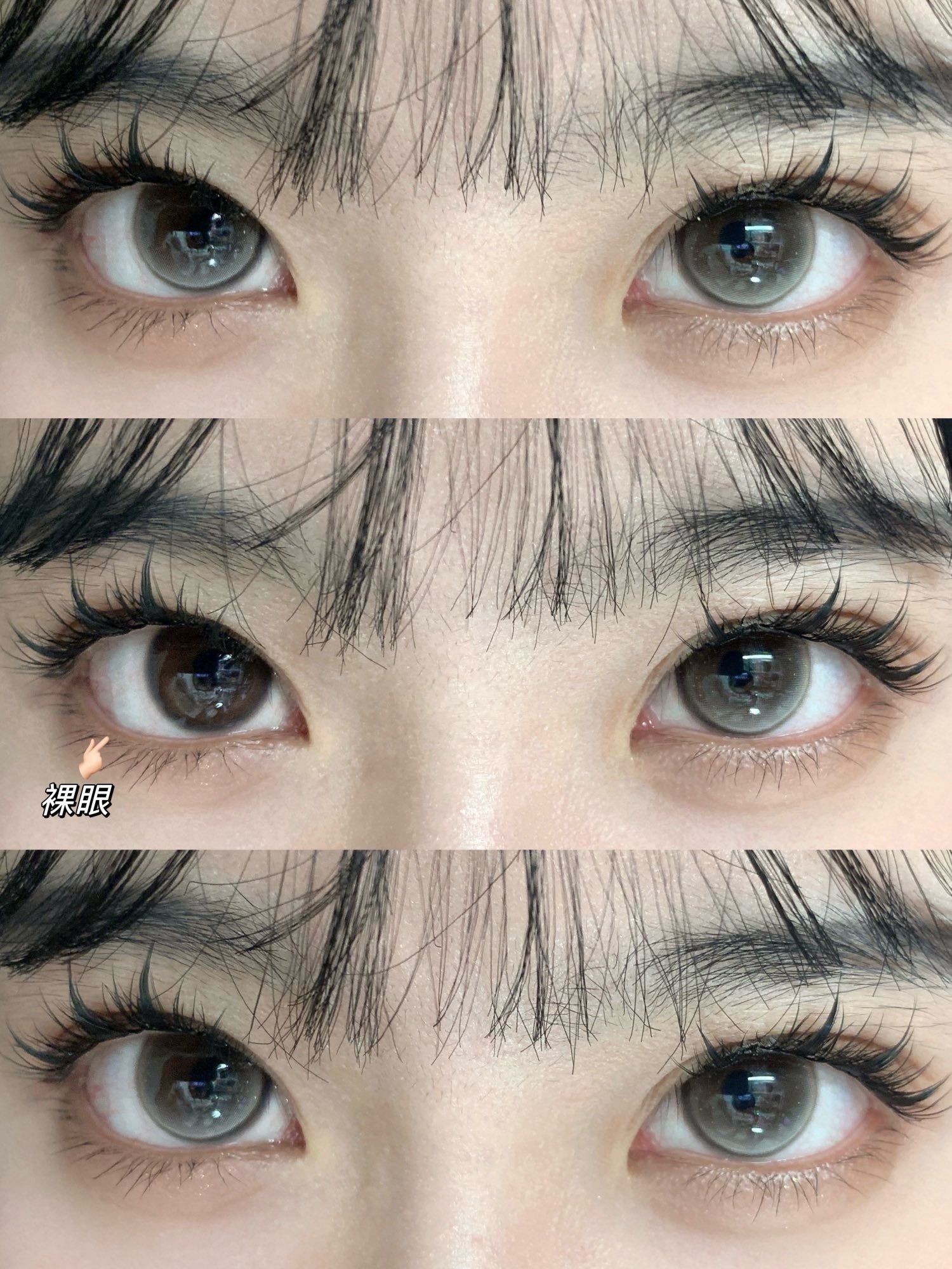 IMG_3097-1733945036621