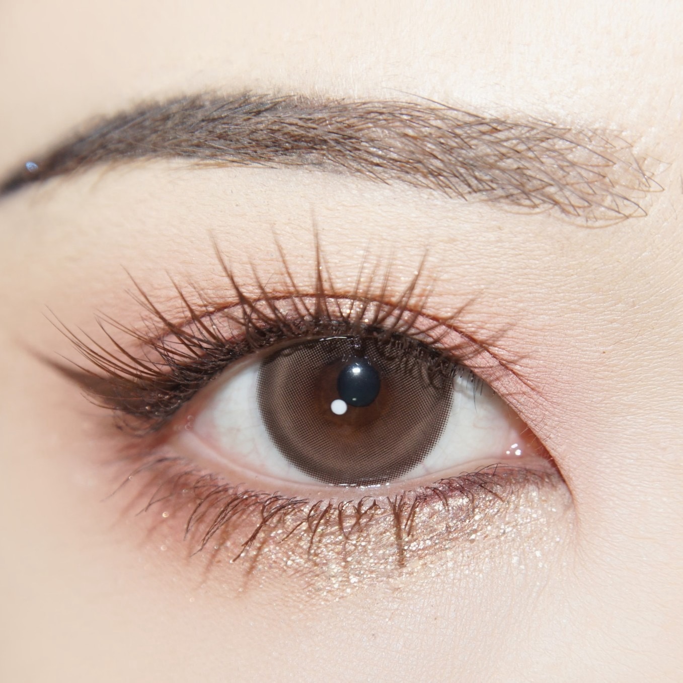 IMG_3345-1734176104901