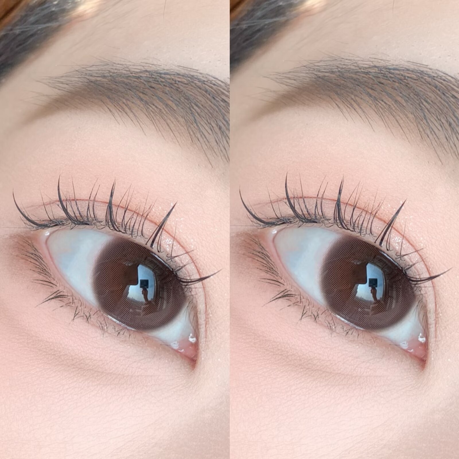 IMG_3421-1734192365503