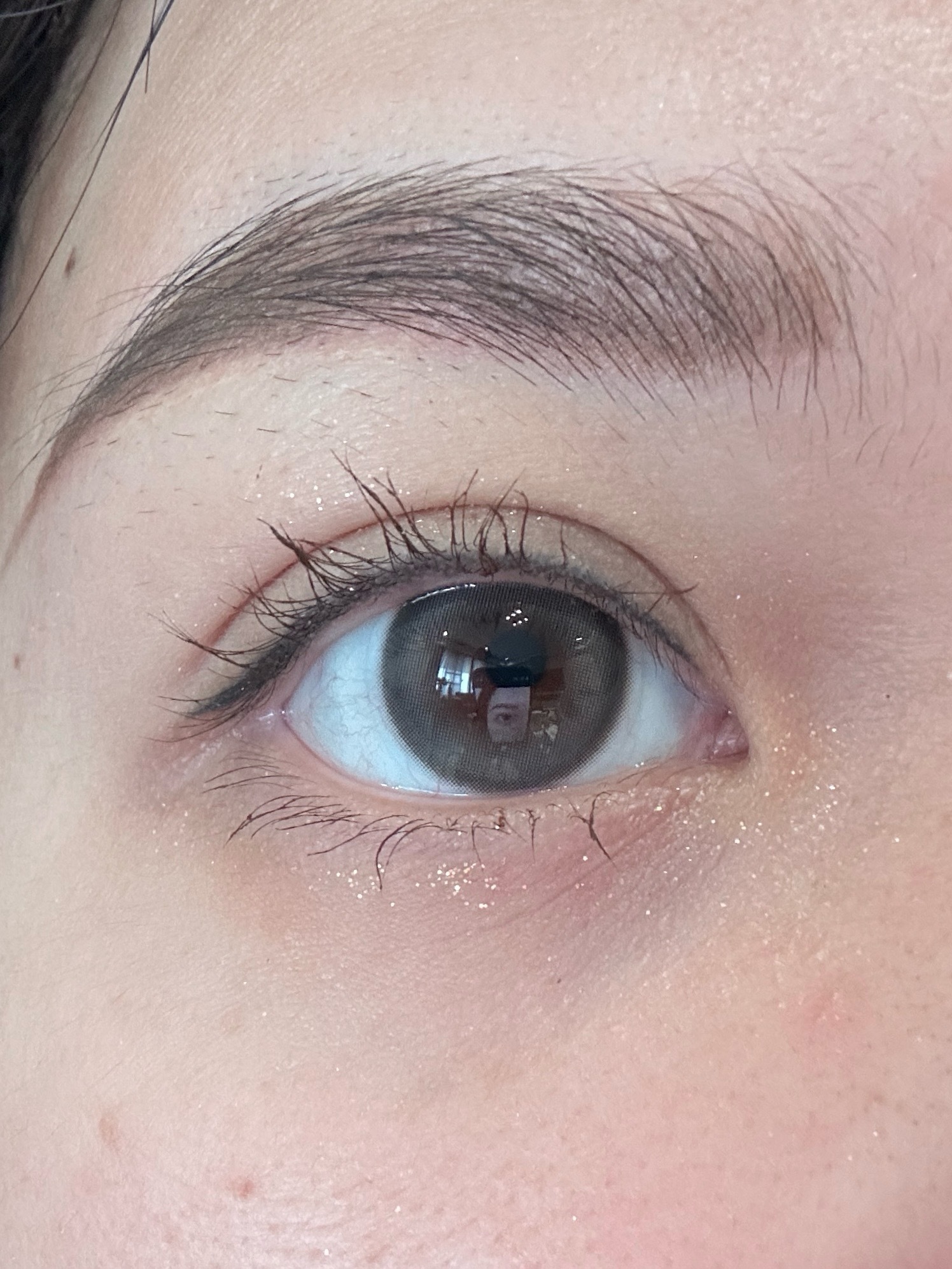 IMG_3431-1734192449072