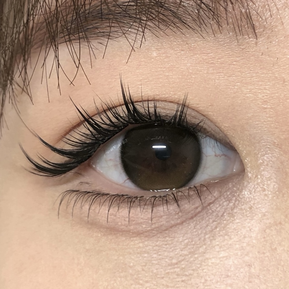 IMG_0782-1738828839740