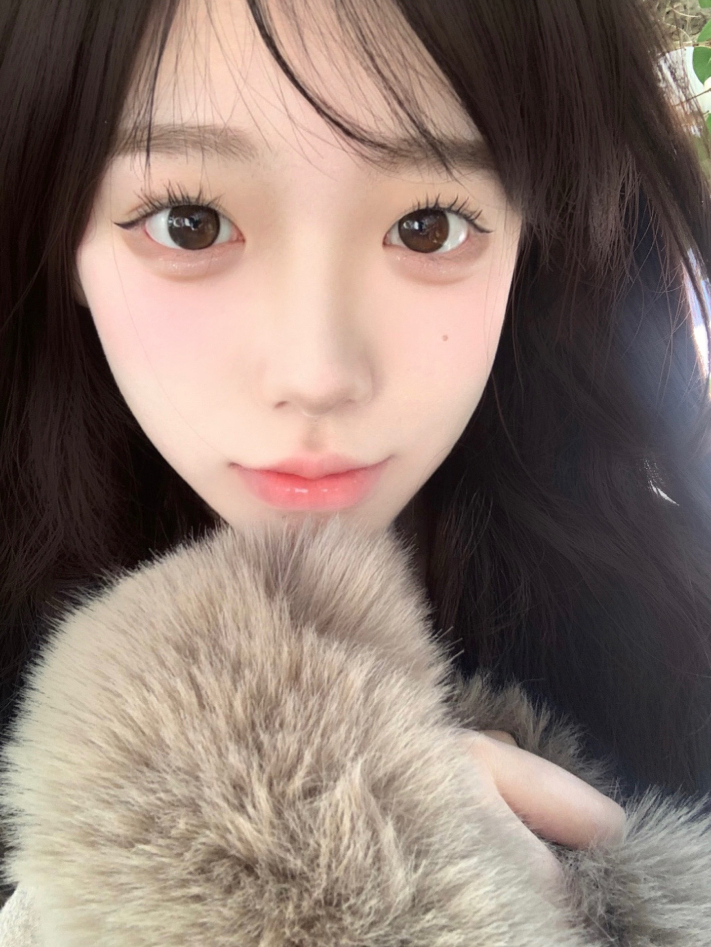 IMG_0779-1738828839736