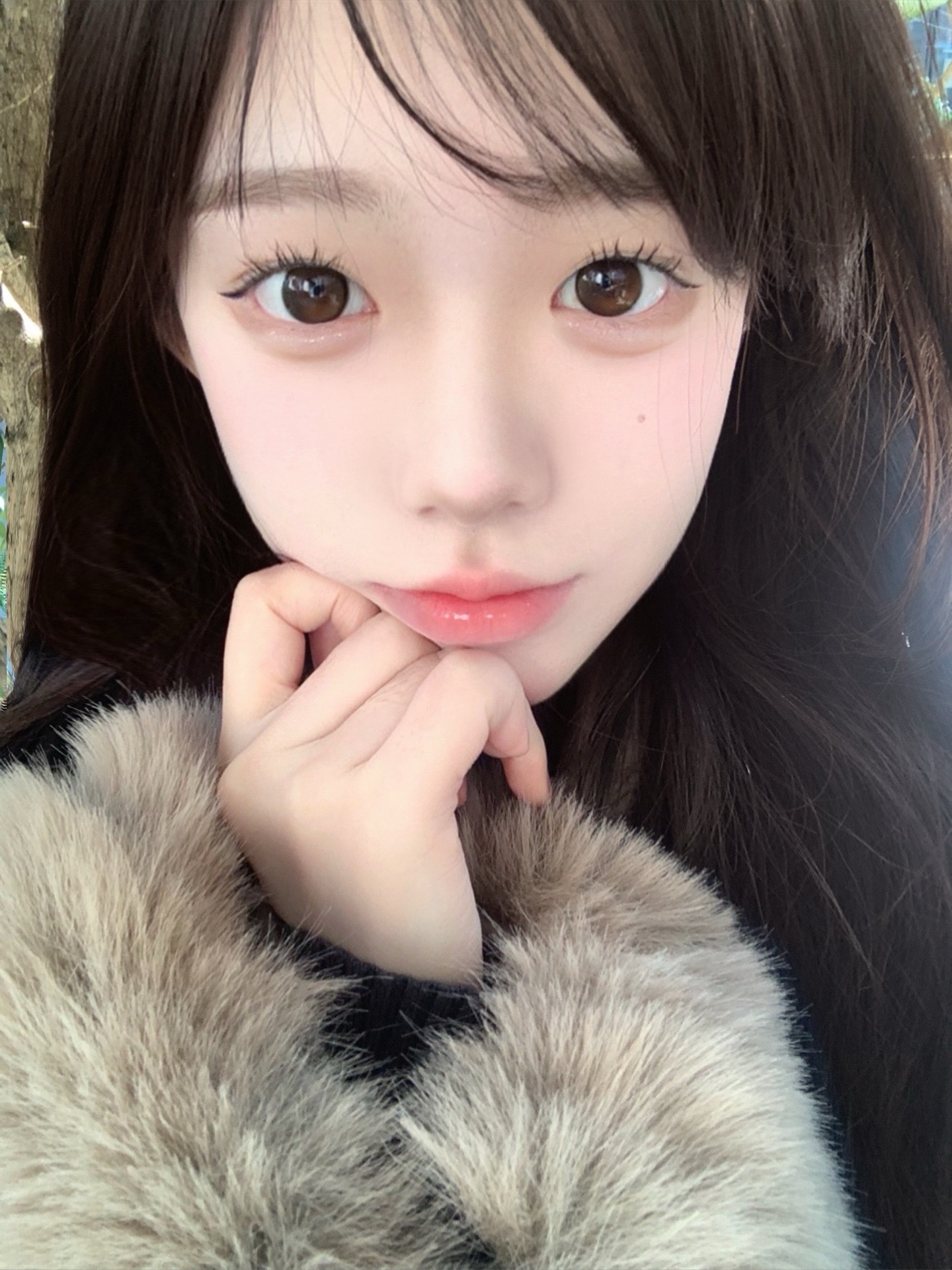 IMG_0778-1738828839741