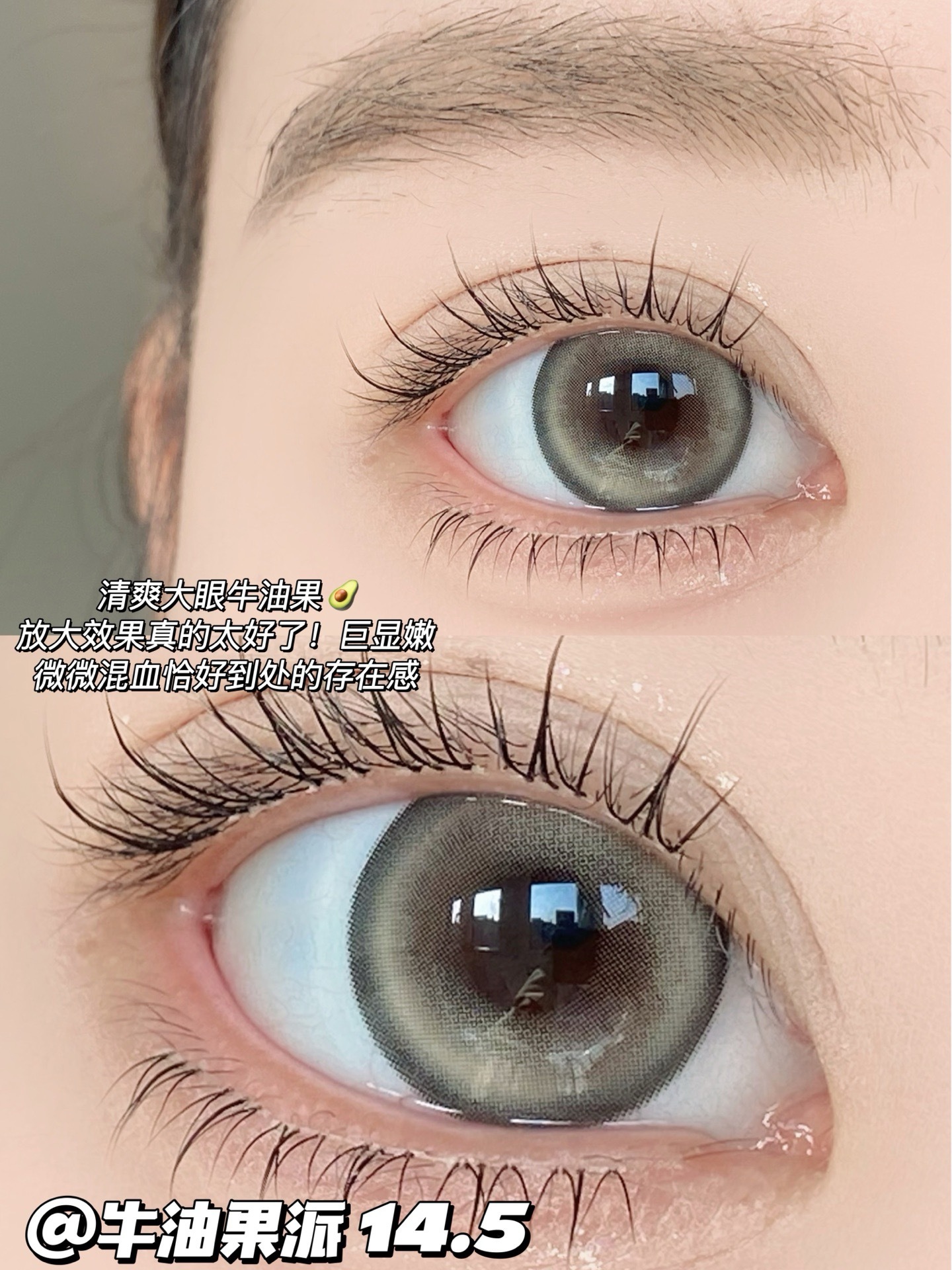 IMG_0908-1738850647065