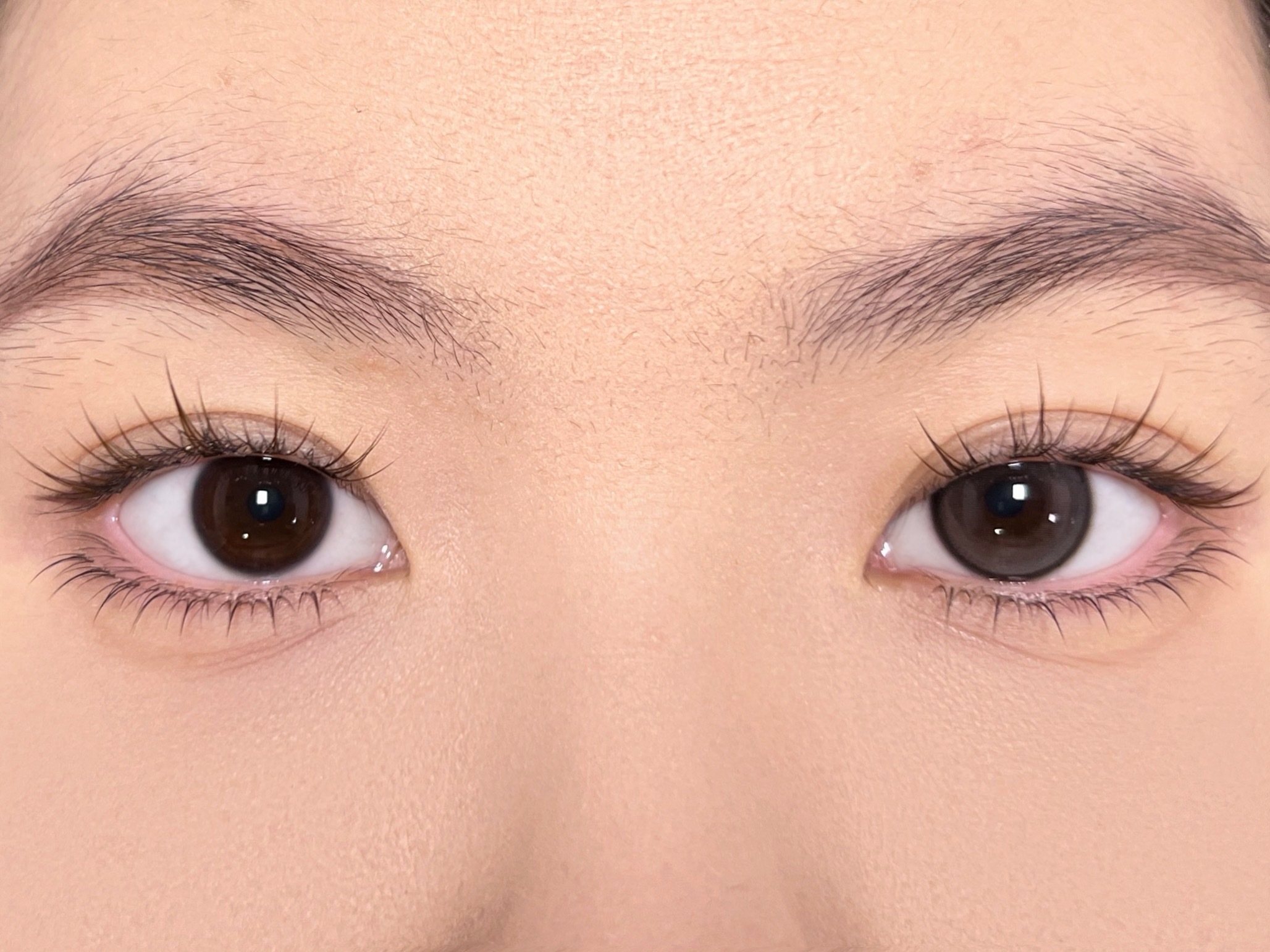 IMG_0939-1738851347997