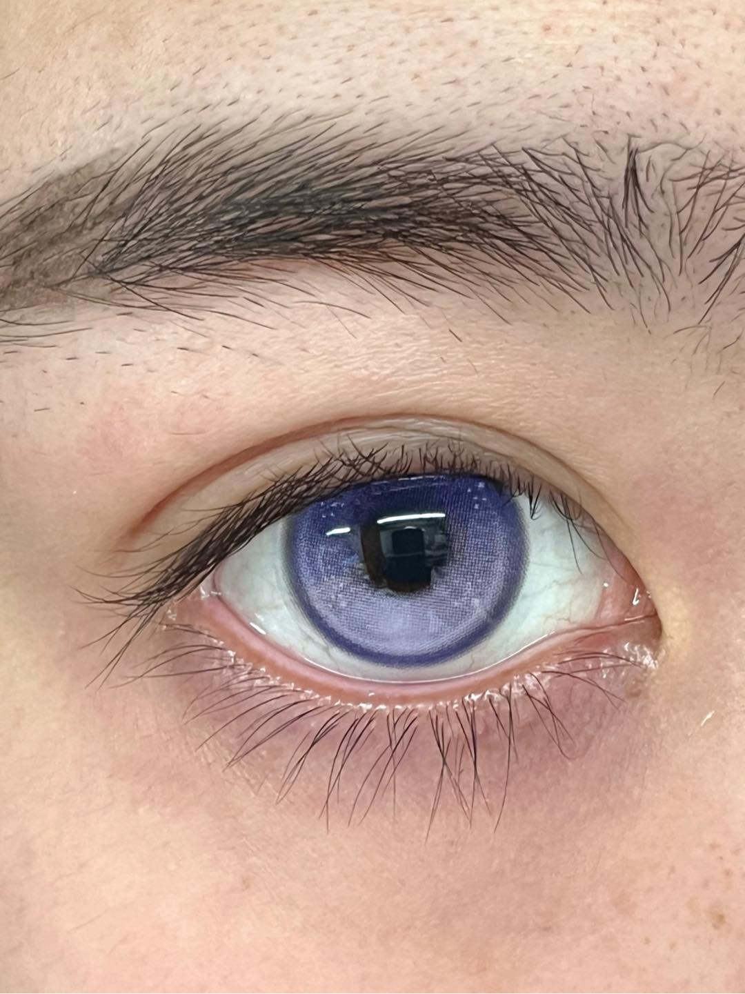 IMG_0979-1738852777260