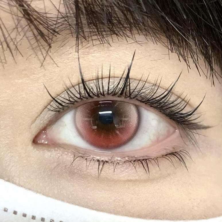 IMG_0981-1738852851835