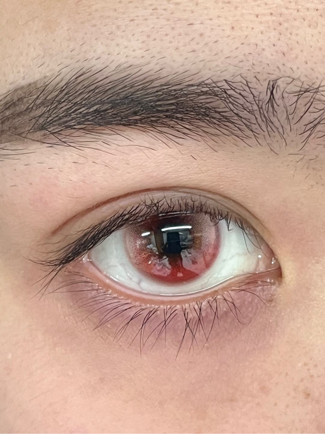 IMG_0985-1738852851838