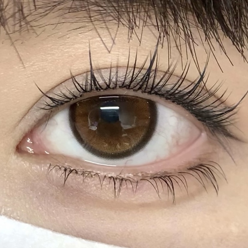 IMG_1108-1738909050477