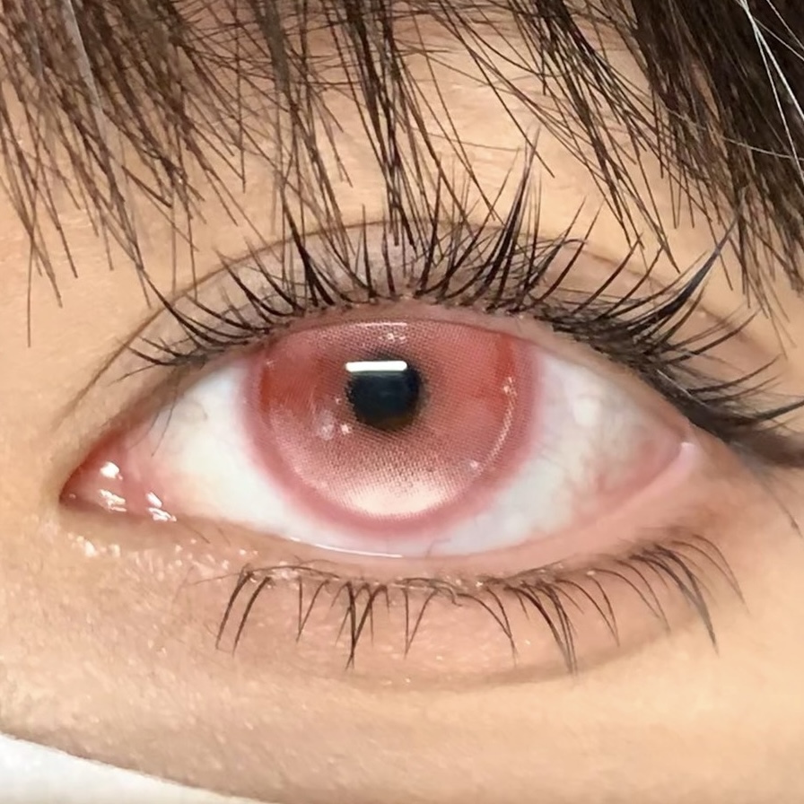 IMG_1143-1738910484200