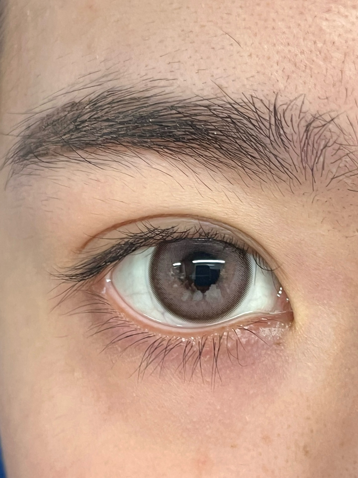 IMG_1226-1739007725053