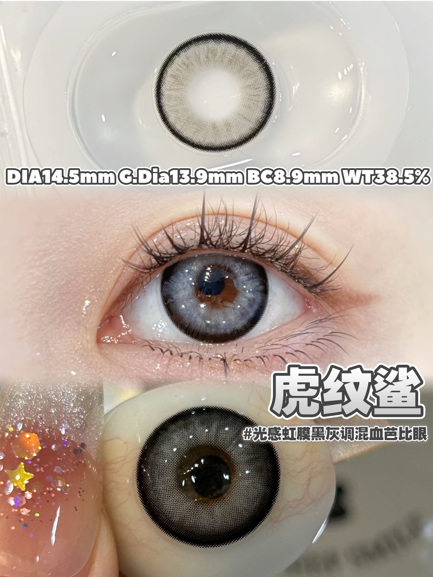 IMG_1240-1739007979634