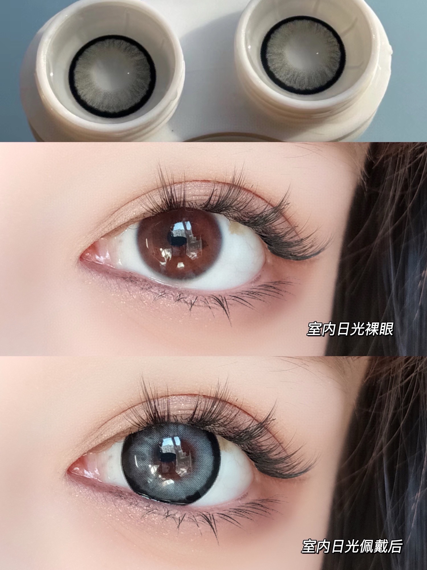 IMG_1246-1739007979695