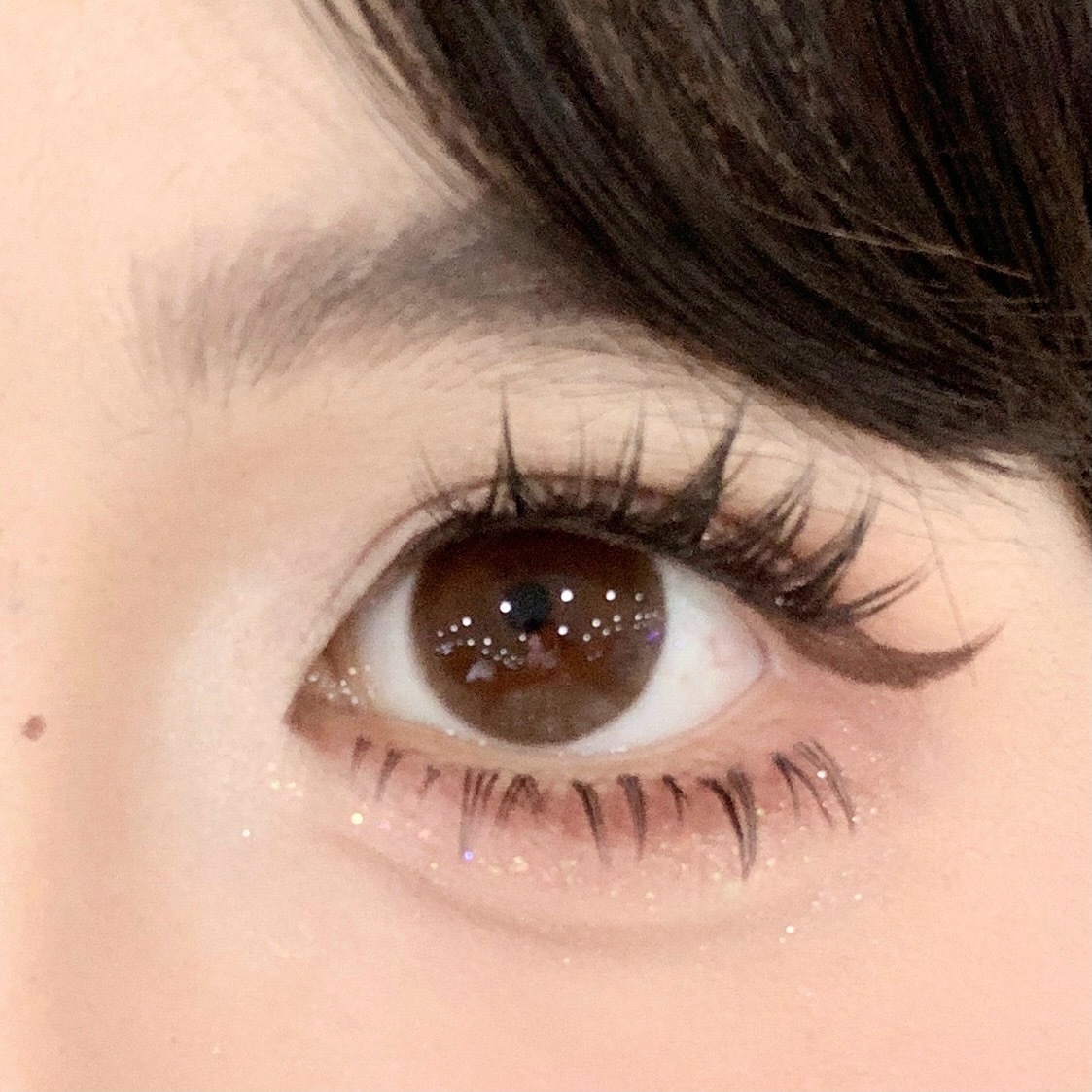 IMG_1253-1739008102416