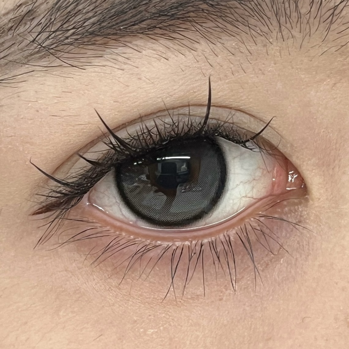 IMG_2584-1739893806696