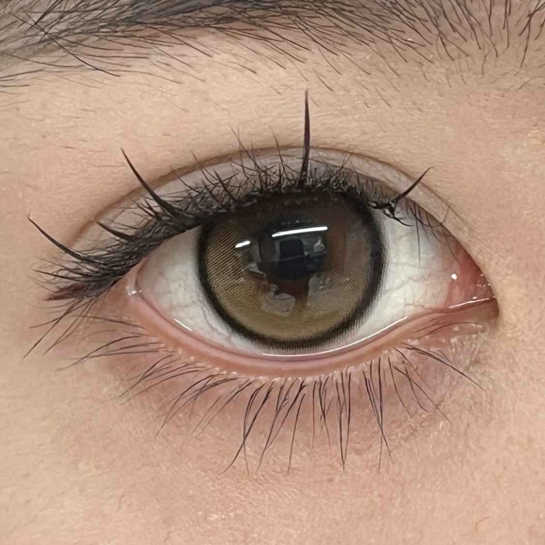 IMG_2589-1739893905679