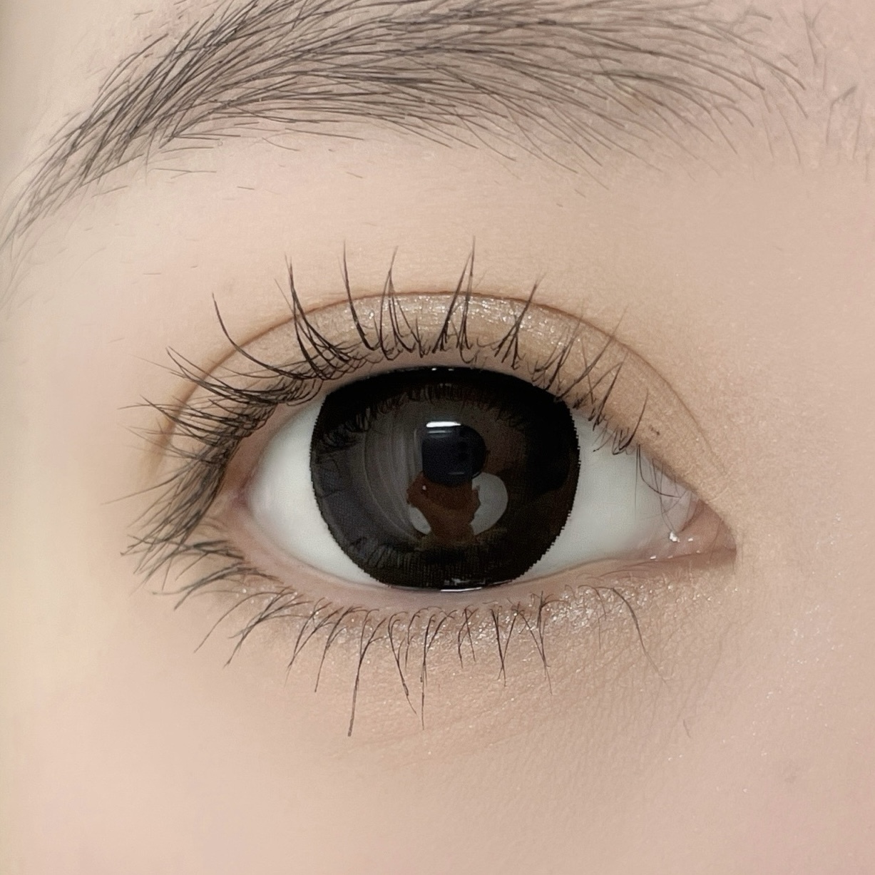 IMG_2614-1739894557536