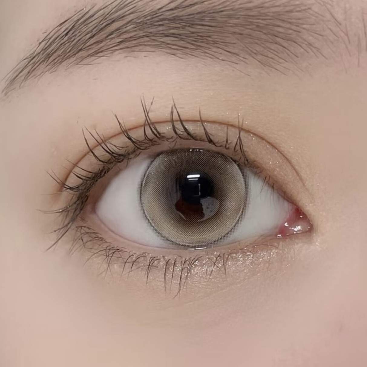 IMG_2654-1739895424080