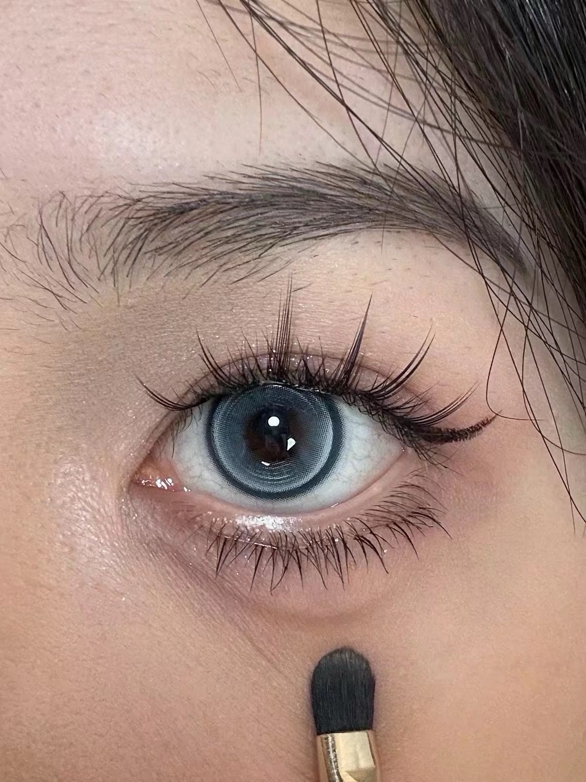 IMG_2718-1739896662253