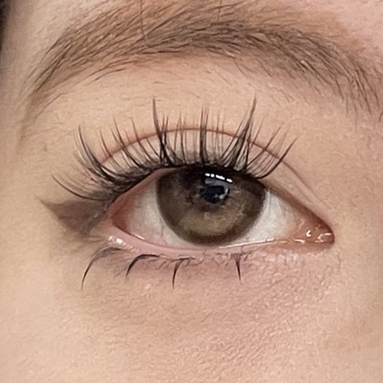 IMG_2742-1739897122527